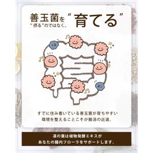 酵素ドリンク 凛の葉 720ml 無添加 植物...の詳細画像5