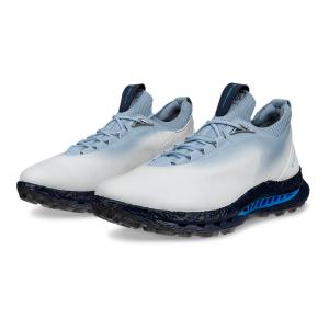 ECCO メンズ バイオム C5 ゴルフシューズの高価買取価格