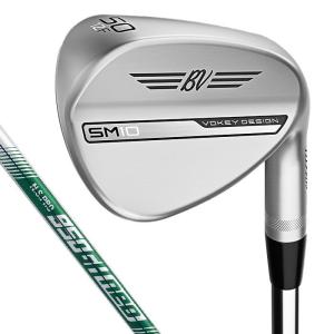 送料無料【訳あり】 タイトリスト SM10 ウェッジの買取情報