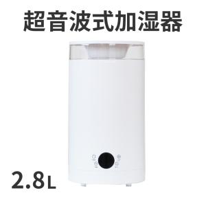 次亜塩素酸水 対応超音波加湿器付 バイバイ菌 500ppm 次亜塩素酸 20L