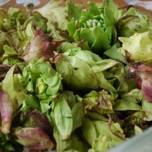 ふきのとう100g(大小バラ詰め)※つぼみでは...の詳細画像2