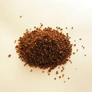 そば茶500g 国産 2025年産 長野県産 ...の詳細画像1