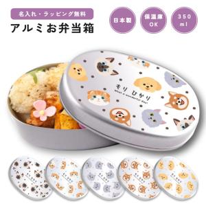 スケーター パウパトロール 弁当箱 箸 ランチグッズ 2点セット おまけ