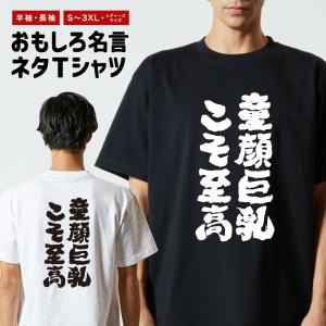 おもしろTシャツ ネタTシャツ 半袖 即日発送 名言 迷言 格言 メンズ レディース キッズ 子供 プレゼント ギフト 童顔巨乳こそ至高