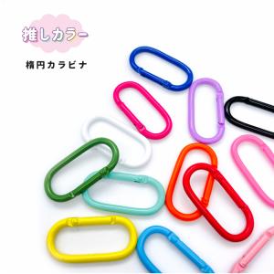 カラビナ キーホルダー おしゃれ 推し活 推し色 推しカラー