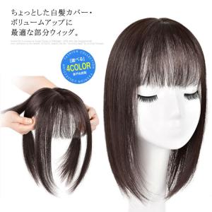 部分 ウィッグ ミセス 自然 薄毛 脱毛症 白髪隠し 増毛 分け目 つむじ ヘアピース 女性用 かつら 脱毛 リアル スキン 人工頭皮 部分かつら つ