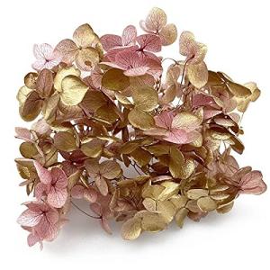 そらプリ プリザーブドフラワー アナベル パープルゴールド 小分け ハンドメイド 資材 紫陽花 あじさい 最安値 価格比較 Yahoo ショッピング 口コミ 評判からも探せる