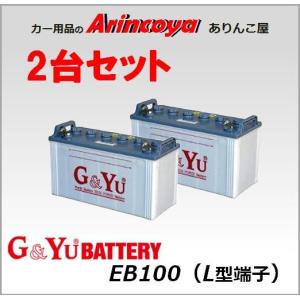 G&Yu ディープサイクルバッテリー 2台セット EB100 L型端子  ( EB100 L )｜arincoya
