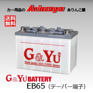 3Kバッテリー（スリーキングバッテリー） バッテリー EB100 LL端子 LR