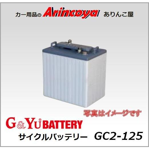 G&amp;Yu ディープサイクルバッテリー　GC2-125 ( 6V電圧 )