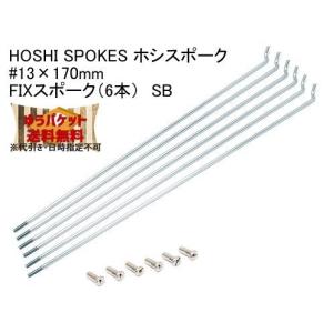 HOSHI SPOKES ホシスポーク #13×170mm FIXスポーク（6本）SBステンレス