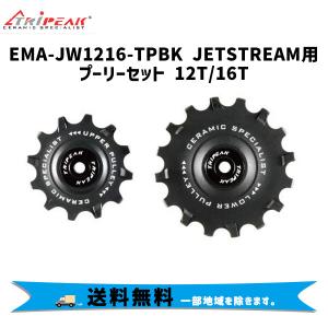 TRIPEAK トライピーク Jetstream Pro 2 Pulley Wheel Kits (12