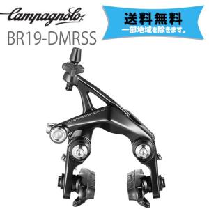 カンパニョーロ CAMPAGNOLO ダイレクトマウントブレーキ リア リアステイ 19〜 BR19-DMRSS  送料無料 一部地域は除く｜aris-c