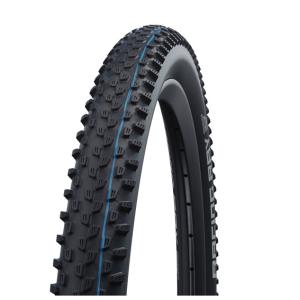 2本セット SCHWALBE シュワルベ レーシングレイ Super Ground ADDIX Speedgrip 29x2.35 60-622 ブラック 送料無料 一部地域は除く｜aris-c