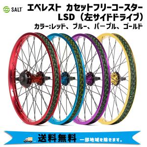 SALT ソルト エベレスト フリーコースター リアホイール 20インチ 14mm