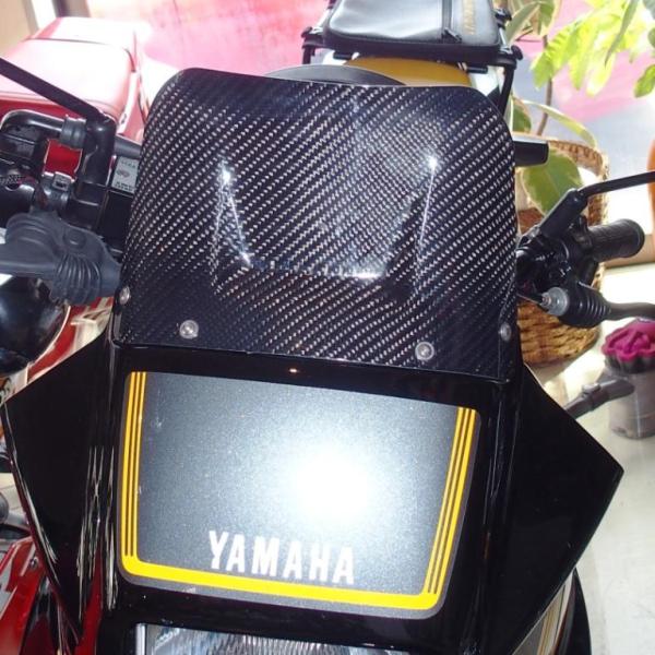 カーボン・スクリーン for TDR250(2YK)