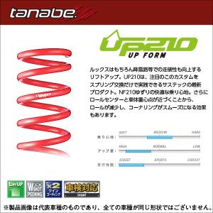 TANABE 送料無料 タナベ UP210 リフトアップサス (1台分