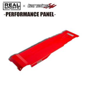 TANABE（タナベ） REALSPORTS×TANABE DAMPER BRACE リアルスポーツ