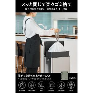Fluto ひも付きゴミ袋 分別カレンダー付き...の詳細画像1