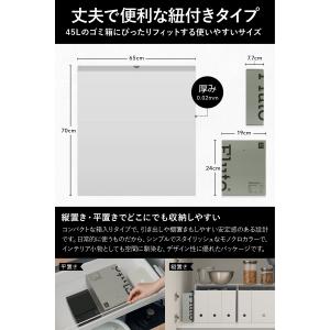 Fluto ひも付きゴミ袋 分別カレンダー付き...の詳細画像4