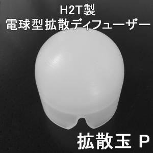 盗聴器 発見器 最上位機種 BUG PINGER バグピンガー サン