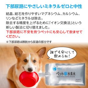 ペットの水素水 550mL 60本入 犬 猫 ...の詳細画像5