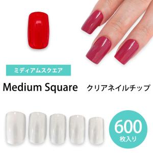 単品 【ミディアムオーバル】5番 クリアチップ ネイルサンプル : ネオ