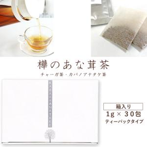 送料無料 樺のあな茸茶 1箱 1g×30包入 ティーバックタイプ チャーガ