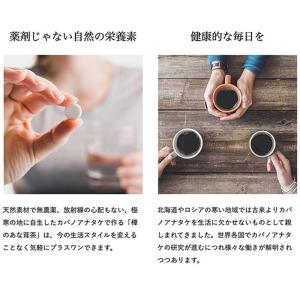 【お試しサイズ】樺のあな茸茶 1袋(1g×5包...の詳細画像3