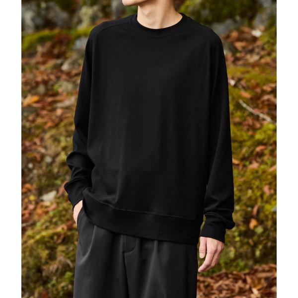 Goldwin / ゴールドウィン ： 別注  Cotton/Wool Crew Neck T-sh...