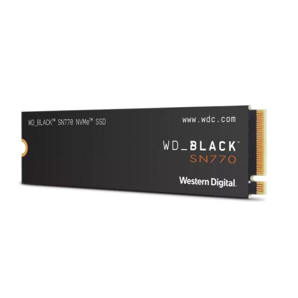 Western Digital WDS100T3X0E