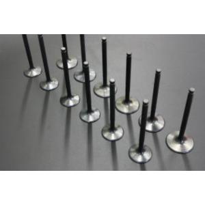 亀有エンジンワークス：L6/L4：L型カムシャフト3点セット：66度Aカム