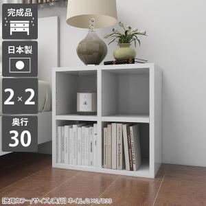 arne（アーネ） オープンラック シェルフ 幅50 ミニラック 2段 棚 白