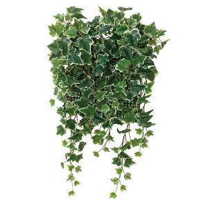 母の日 ギフト 花 光触媒 観葉植物 人工観葉植物 壁掛け ...