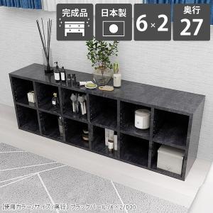 arne（アーネ） 本棚 大容量 カラーボックス オープンラック 2段