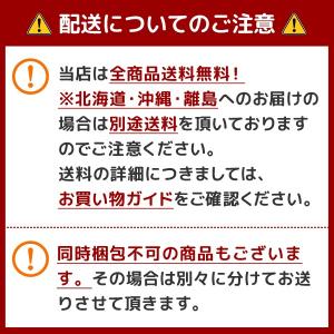 メダリストワンデープラス 30枚×2箱 ボシュロムの詳細画像3
