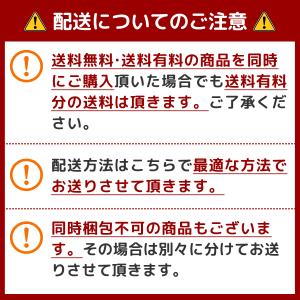 メニコン rei 2week カラコン 6枚入...の詳細画像2