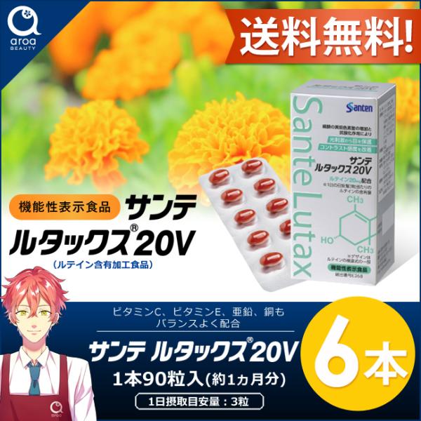 サンテルタックス20V【参天製薬】90粒入り6箱(1日3粒/180日分)