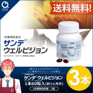 サンテ ウェルビジョン 3個【参天製薬】60粒...の詳細画像1