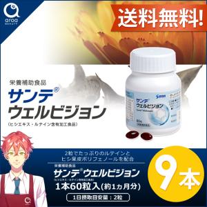 サンテ ウェルビジョン 9個【参天製薬】60粒...の詳細画像1