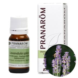 プラナロム（PRANAROM） ローズオットー BIO 2ml PRANAROM ダマスク