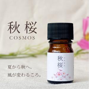 ASH AROMA アロマオイル 5本セット 柑橘系シトラスC 各10ml