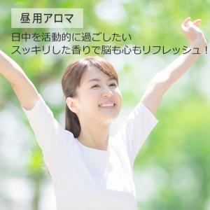 Day 昼用 ブレンド 100ml アロマ オ...の詳細画像1