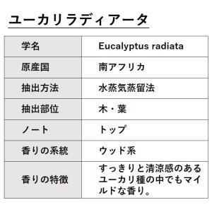 ユーカリラディアータ 10ml エッセンシャル...の詳細画像1