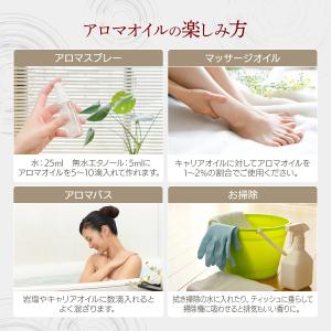 パチュリー 100ml エッセンシャルオイル ...の詳細画像3