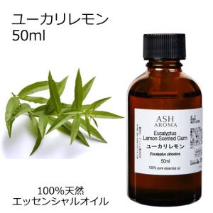 ユーカリレモン （シトリオドラ） 50ml エッセンシャルオイル アロマオイル 精油 樹木系 (AEAJ表示基準適合認定精油)｜アッシュ-ASH AROMA Yahoo!店