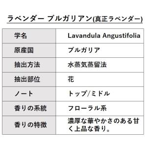 ＼訳あり特価/ ラベンダー 真正 ブルガリアン...の詳細画像1