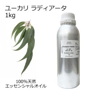 ユーカリラディアータ 1kg エッセンシャルオイル