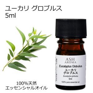 ユーカリ グロブルス 5ml エッセンシャルオイル アロマオイル 精油 樹木系 (AEAJ表示基準適合認定精油)｜aroma-ash