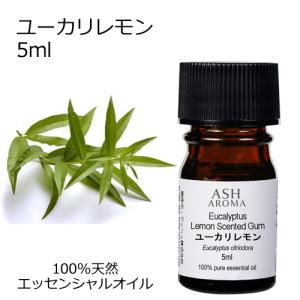 【未使用】ユーカリプタスエッセンシャルオイル 100ml 瓶2本セット ユーカリプタス ユーカリオイル 100ml ダニ対策・消臭・除菌 天然